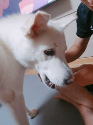 딸랑구둘🥰님이 올린 리뷰 사진 3