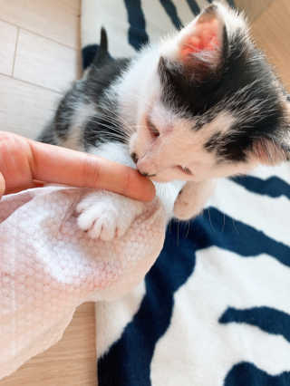 희공주님이 올린 리뷰 사진 3