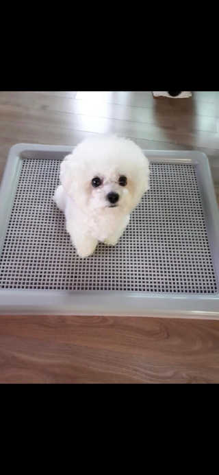 류하님이 올린 리뷰 사진 2