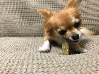 감자야산책가자님이 올린 리뷰 사진 2