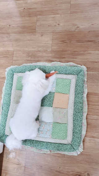 빛날Hwan님이 올린 리뷰 사진 4