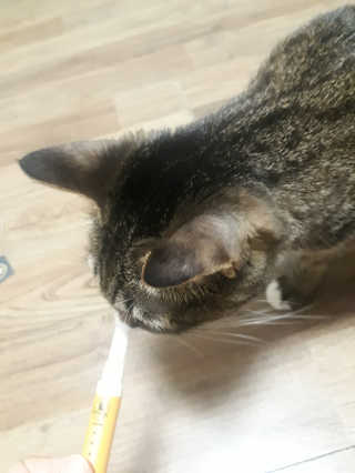 밍밍0님이 올린 리뷰 사진 2