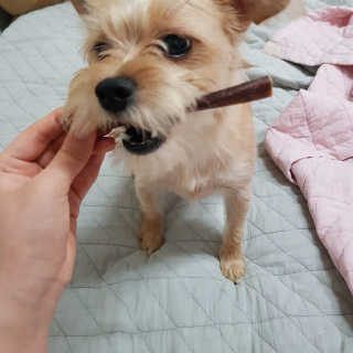 세지니힛님이 올린 리뷰 사진 3