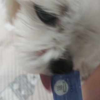 미우미우님이 올린 리뷰 사진 2