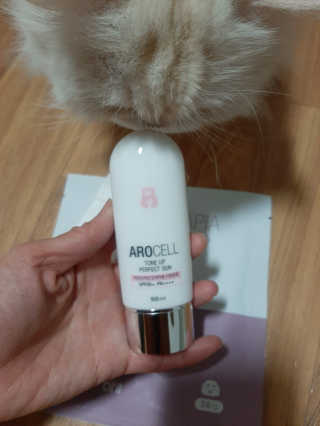 켈리심님이 올린 리뷰 사진 2