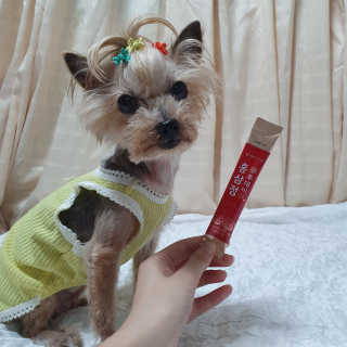 솜희님이 올린 리뷰 사진 4
