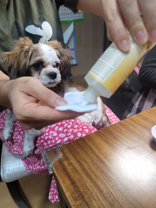 서서자매님이 올린 리뷰 사진 3