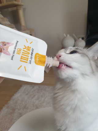 으네몽님이 올린 리뷰 사진 4