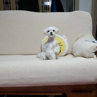 youngran님이 올린 리뷰 사진 1