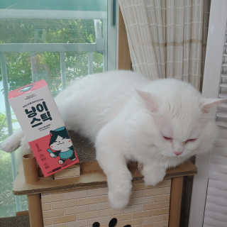 썬님이 올린 리뷰 사진 2