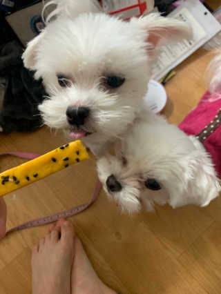 새초미님이 올린 리뷰 사진 1