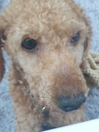 꾹꾹이님이 올린 리뷰 사진 3