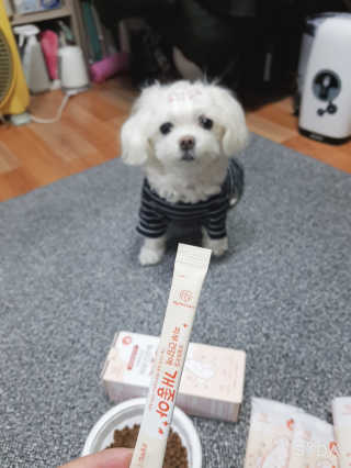 My Pet Care 모발과 모질 피부건강에 개좋아 — 5점을 준 리뷰어가 2020년 12월 올린 사용 사진