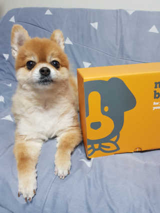 름이가리님이 올린 리뷰 사진 2