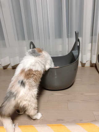 거니맘님이 올린 리뷰 사진 4