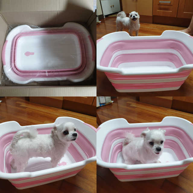 펫토리아 강아지/고양이 접이식 욕조 리뷰 사진