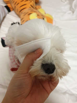 하루룽님이 올린 리뷰 사진 3