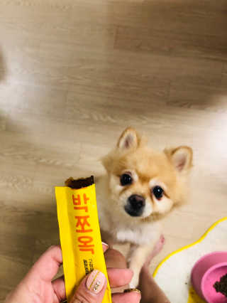 조은약초 국산 늙은 호박즙 호박쪼옥 젤리 20g x 15포 — 5점을 준 리뷰어가 2020년 7월 올린 사용 사진