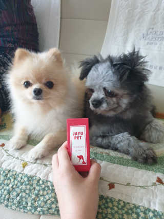 [레드허니밤]자유펫 고양이 강아지 발바닥 밤 14g — 5점을 준 리뷰어가 2020년 7월 올린 사용 사진