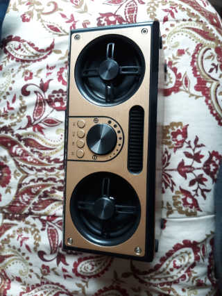 SEVIZ RETRO20W 레트로 블루투스 스피커 — 5점을 준 리뷰어가 2020년 7월 올린 사용 사진