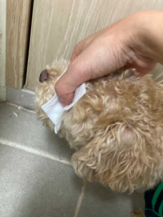 곤지님이 올린 리뷰 사진 3