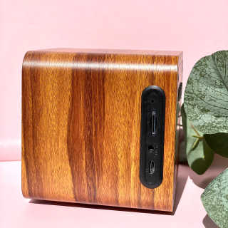 SEVIZ MINI10W 레트로 블루투스 스피커 — 5점을 준 리뷰어가 2020년 9월 올린 사용 사진