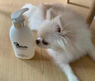 예민한 피부를 위한 코코몰리 All in one 자연유래 샴푸 — 5점을 준 리뷰어가 2020년 6월 올린 사용 사진