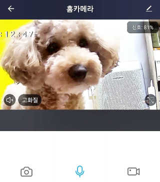 란아님이 올린 리뷰 사진 1
