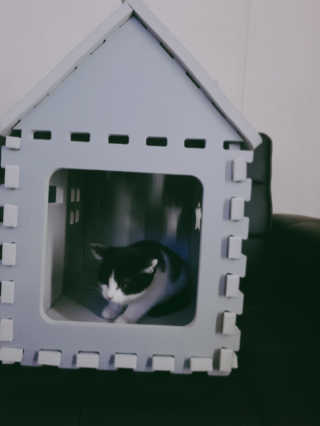 퓨리아님이 올린 리뷰 사진 3
