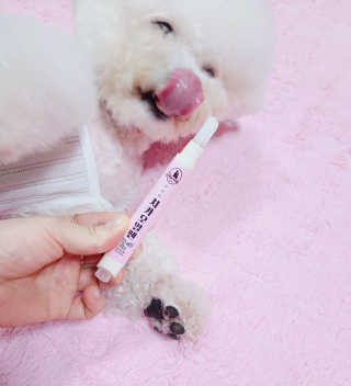 더펫원츠 [5초양치] 멍.치카펜 or 냥.치카펜 or 치카오일펜 — 4점을 준 리뷰어가 2020년 9월 올린 사용 사진