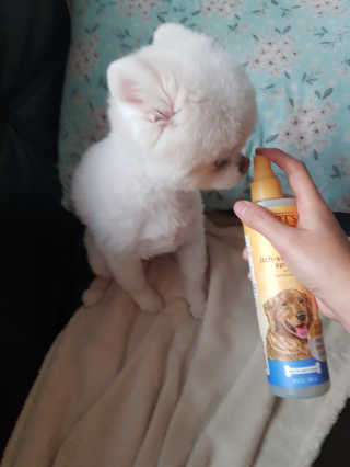 꼬냥꼬냥님이 올린 리뷰 사진 1