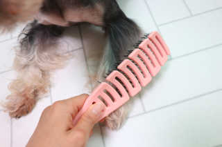 최정임님이 올린 리뷰 사진 2