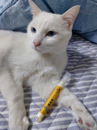 귤양님이 올린 리뷰 사진 2