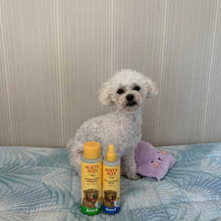 설량님이 올린 리뷰 사진 2