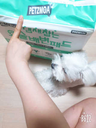 바이에이미님이 올린 리뷰 사진 4