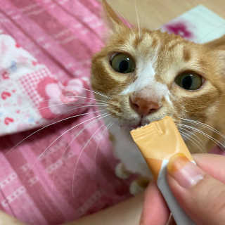 진소현님이 올린 리뷰 사진 3