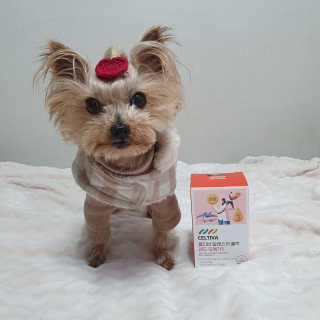 솜희님이 올린 리뷰 사진 3