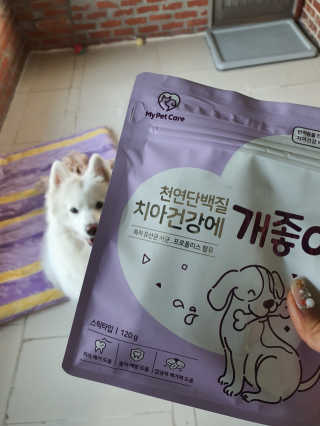 My Pet Care 천연단백질 치아건강에 개좋아 — 5점을 준 리뷰어가 2020년 12월 올린 사용 사진