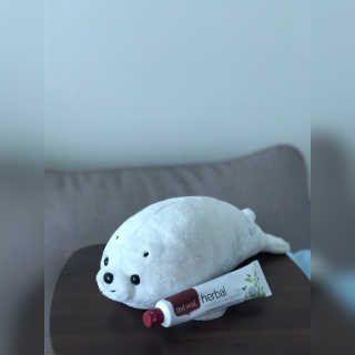 물끼님이 올린 리뷰 사진 2
