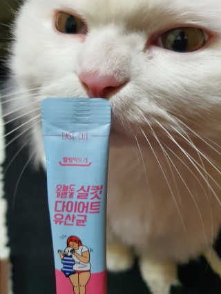 Woo7C님이 올린 리뷰 사진 1