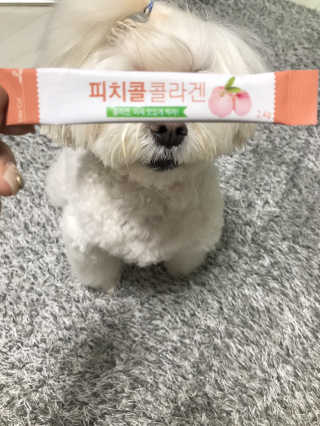 윤퍼플님이 올린 리뷰 사진 4