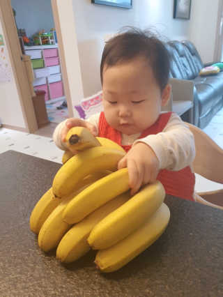[스미후루] 감숙왕 바나나 1팩 1.3kg + 담요 + 스티커 — 5점을 준 리뷰어가 2020년 10월 올린 사용 사진