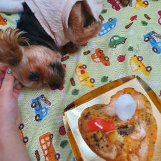 itsmeinyeong님이 올린 리뷰 사진 2