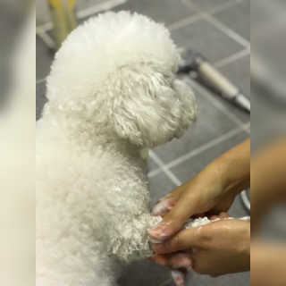 물끼님이 올린 리뷰 사진 4