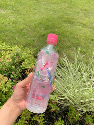 서준마미님이 올린 리뷰 사진 2