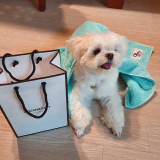 hosu.1230님이 올린 리뷰 사진 1