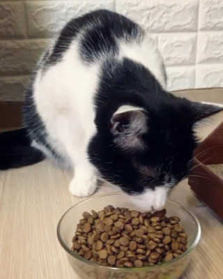 풀잎이님이 올린 리뷰 사진 2