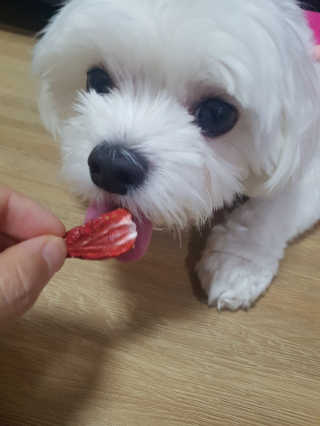 블링데코님이 올린 리뷰 사진 4