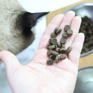 레비올라님이 올린 리뷰 사진 3