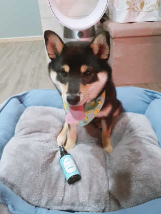 dahee♡님이 올린 리뷰 사진 4